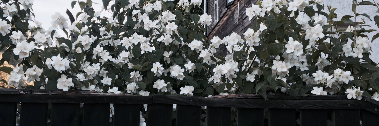 Bitcch_girl's profile banner image