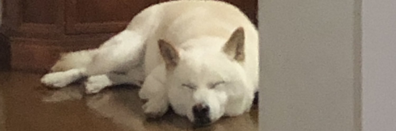 so_giya0711's profile banner image