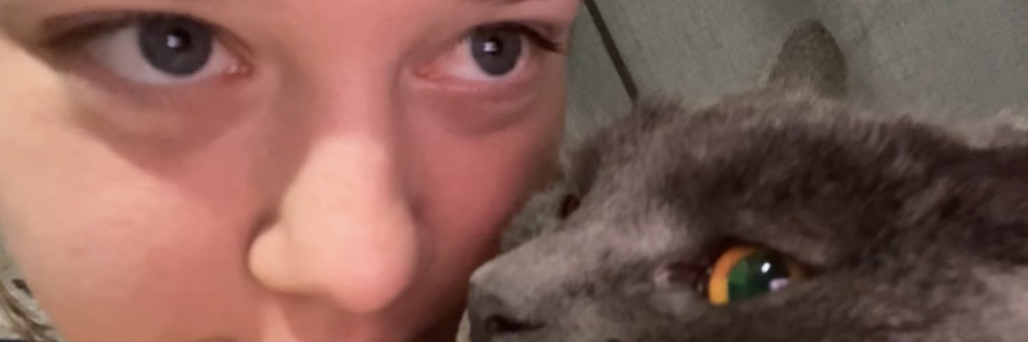 allykat447's profile banner image