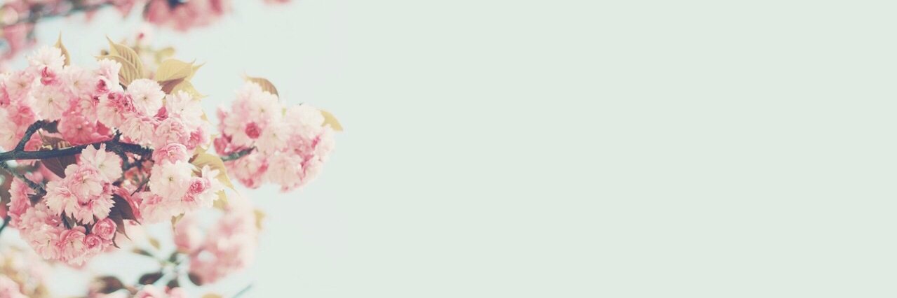 Kopa_Lopa's profile banner image