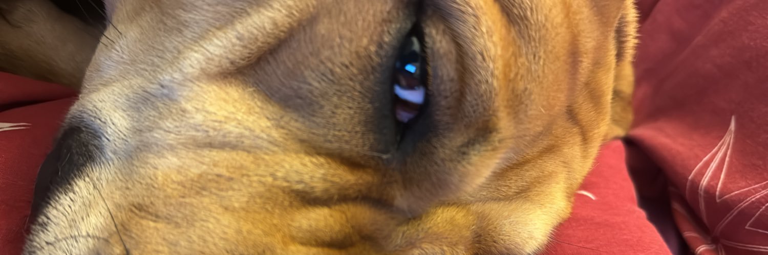 FifaLad212's profile banner image