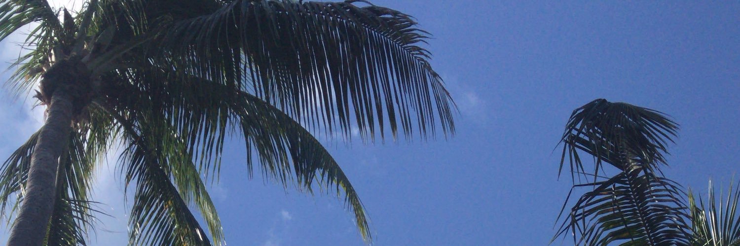 Chulllaa's profile banner image