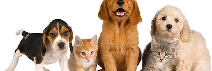 JimmyJackson_87's profile banner image