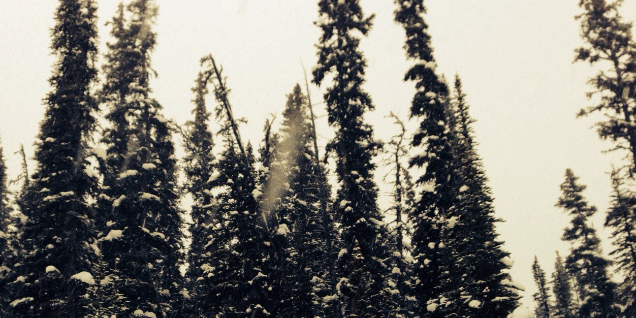 hayleaherbert's profile banner image