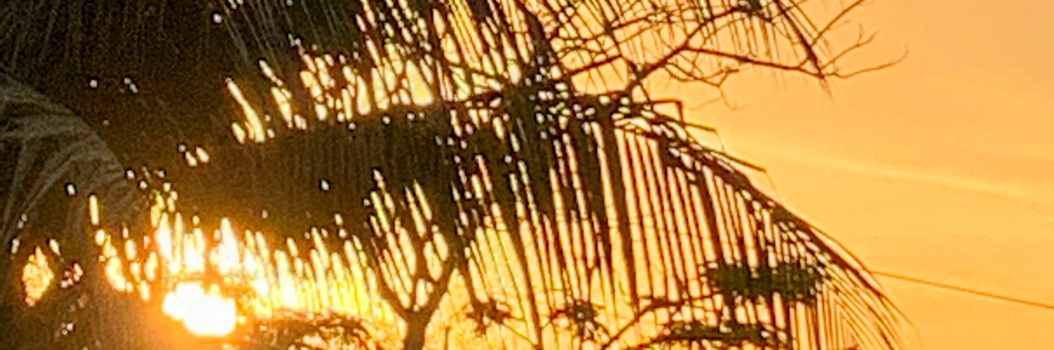 HermosaGodess's profile banner image