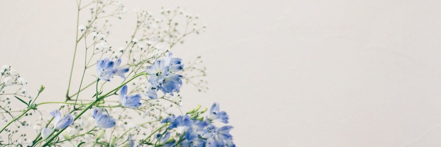 dodo_pcy's profile banner image