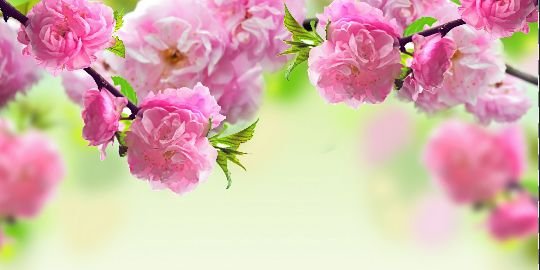 krisberendsen's profile banner image