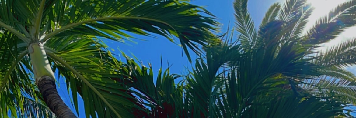 macias_paula's profile banner image