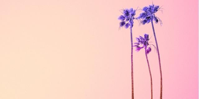 Vero Rodríguez banner