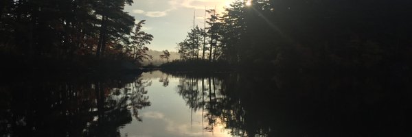 mooresounds Profile Banner