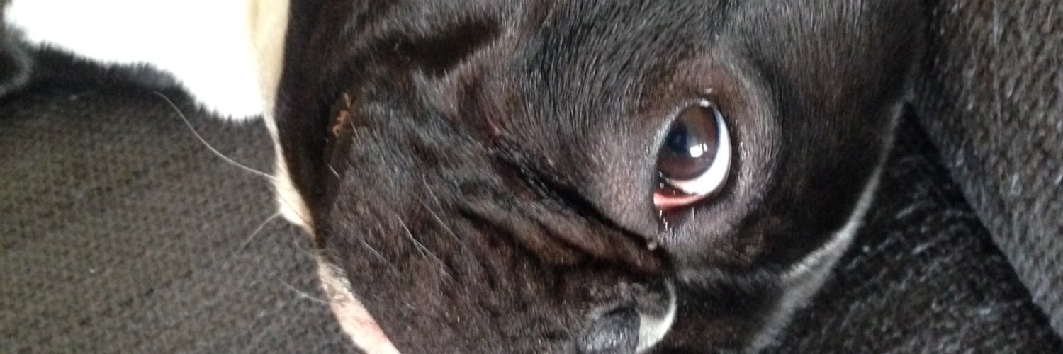missty4x's profile banner image