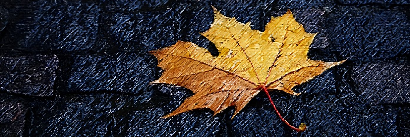 Dannya banner