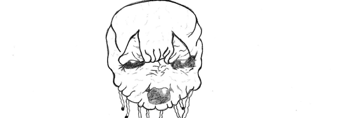 Clown_Inc0's profile banner image