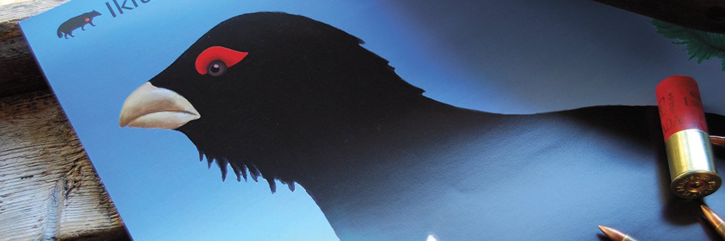 Ikitaulu's profile banner image