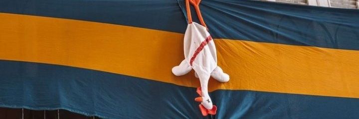 Hidalgohernan79's profile banner image