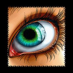 orozcocy2015's profile banner image