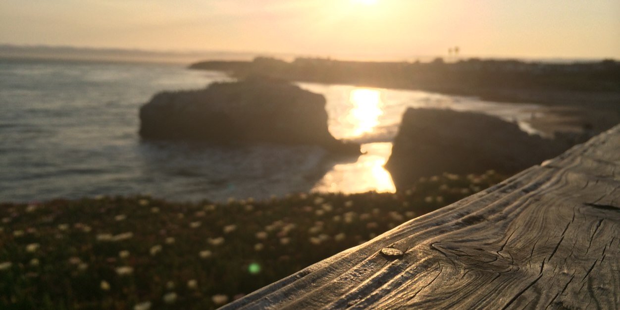 Tanmcvail's profile banner image