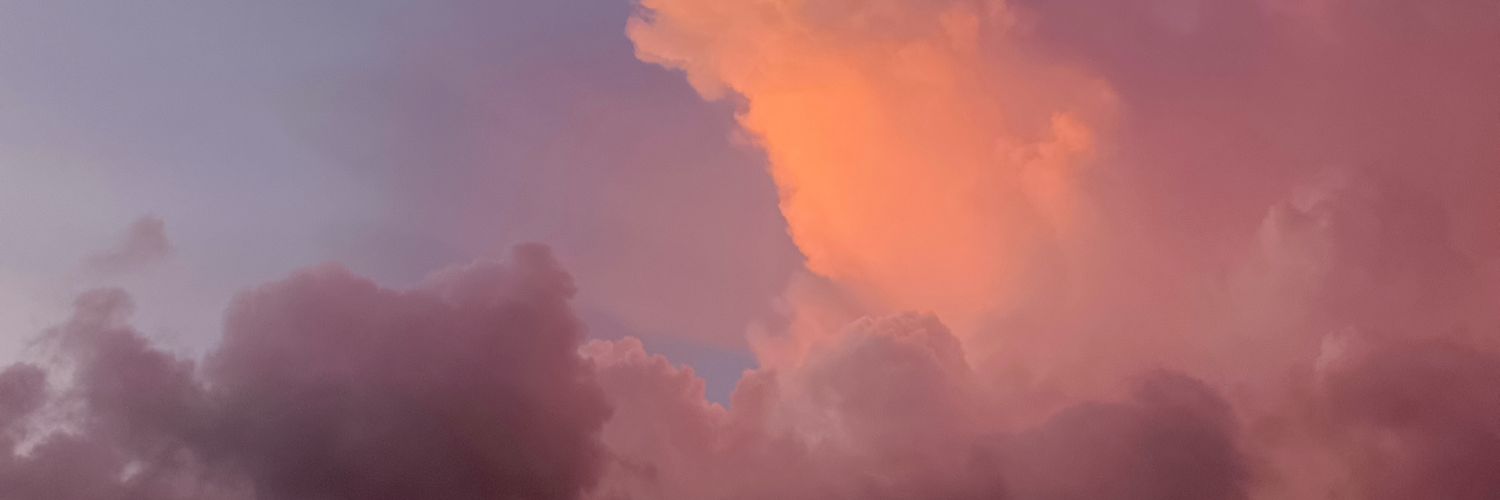 dimmicars's profile banner image