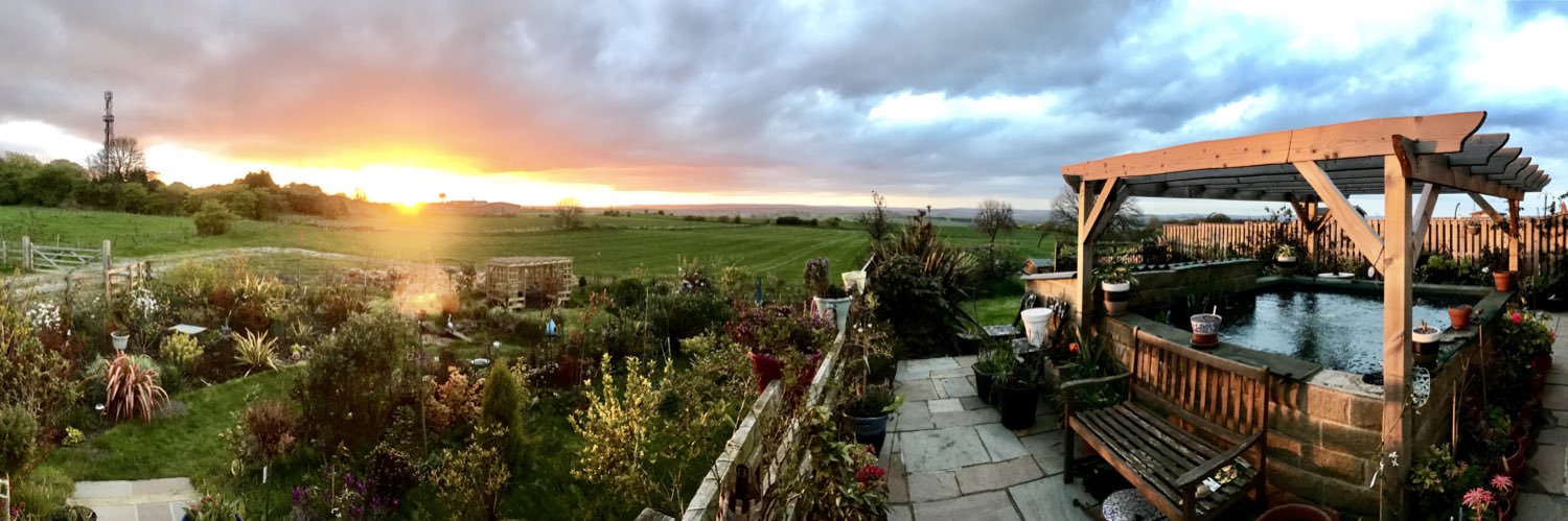 Dammers/Damo/Damien banner