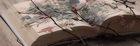 m00m_oo's profile banner image