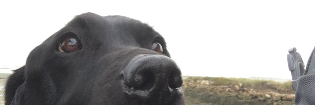 iainrobertson72's profile banner image