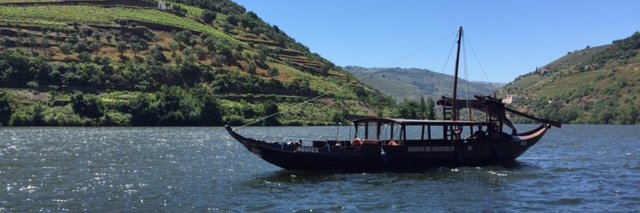 Julie Edwards banner