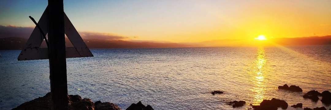 SimonM 🏴󠁧󠁢󠁳󠁣󠁴󠁿🇪🇺🇳🇿 banner