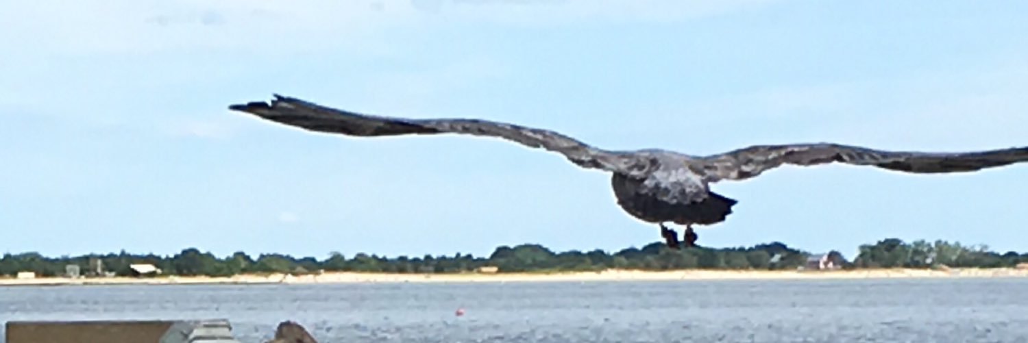 earleen_wright's profile banner image