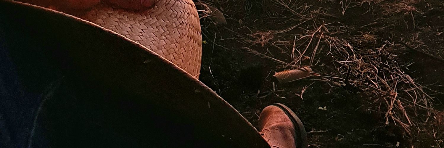 Balbinotti06's profile banner image