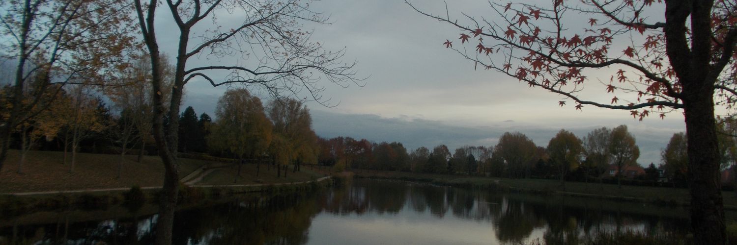 RobertaSkyper93's profile banner image