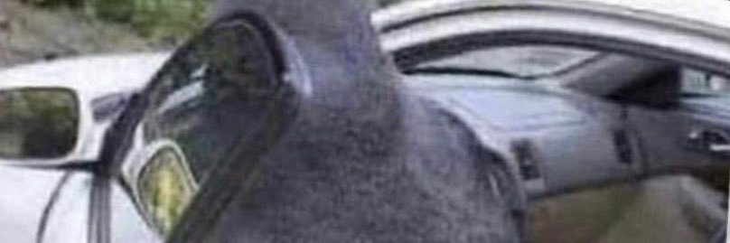 HalalCarpets's profile banner image