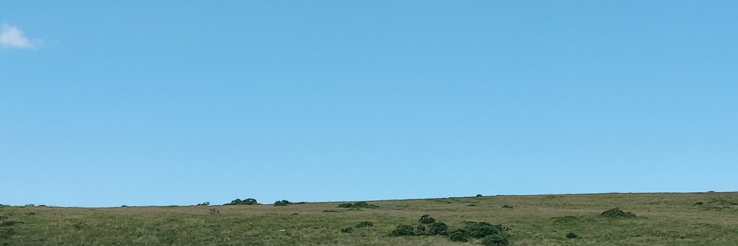 panjordi's profile banner image