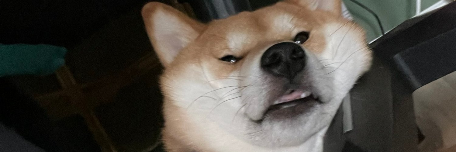 rarewolf's profile banner image