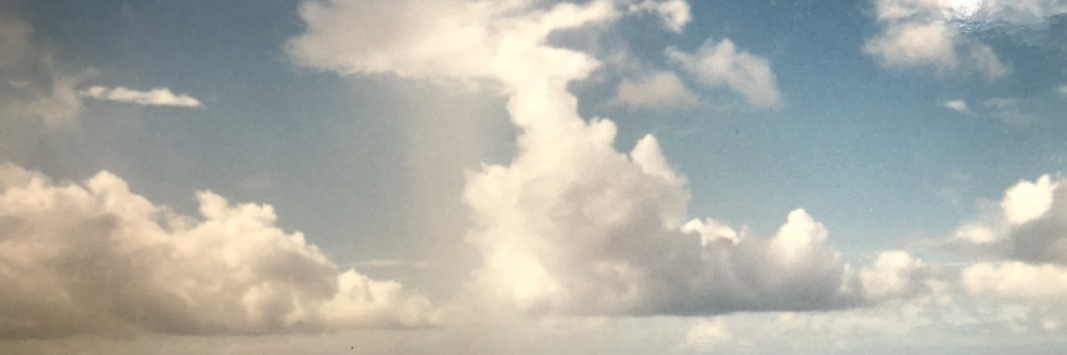 angelrayleneee's profile banner image