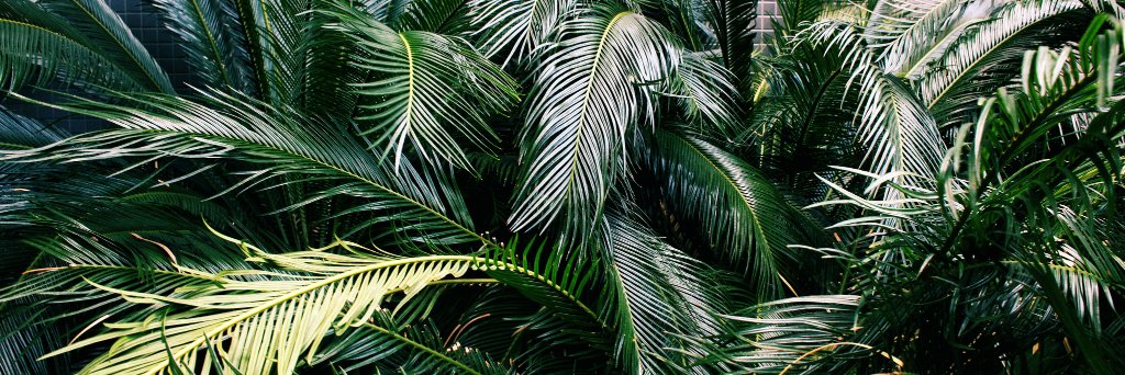 KierstenDuncan's profile banner image