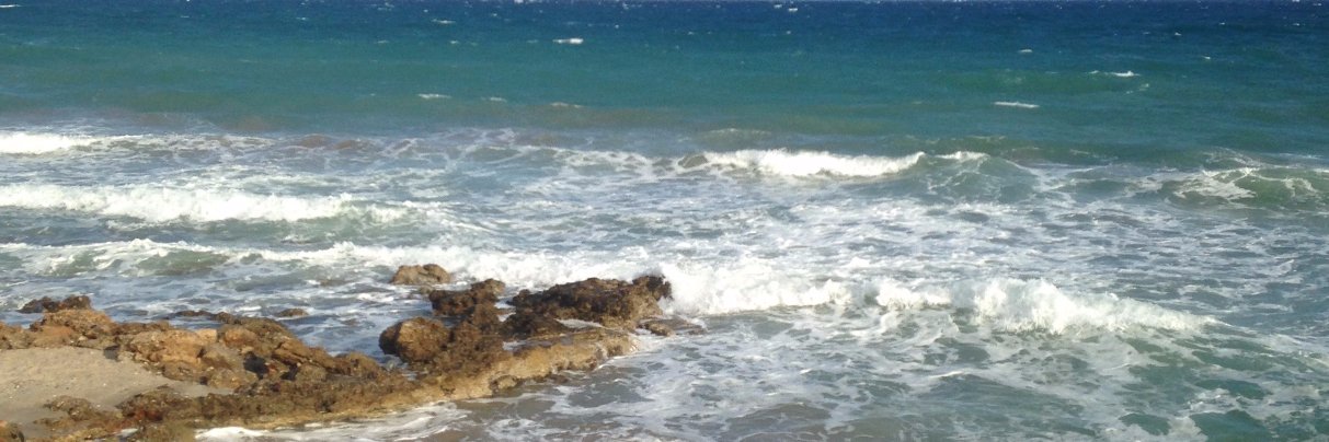 Lilinet76's profile banner image
