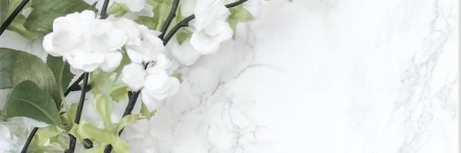 amn_879's profile banner image