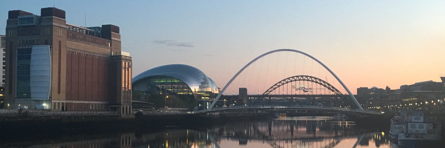wallflowerlis's profile banner image
