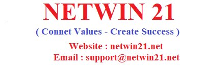 Netwin 21 banner
