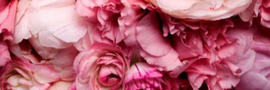 leannebult's profile banner image