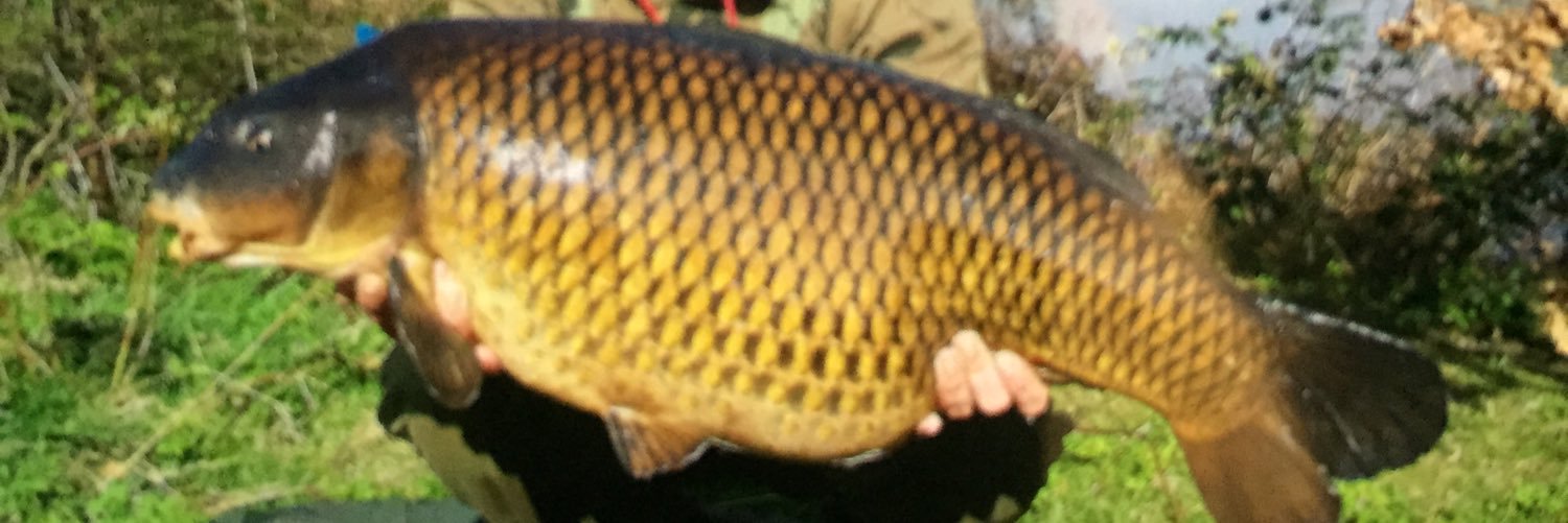 Craftycarper54's profile banner image