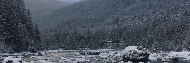 NickMartin907's profile banner image