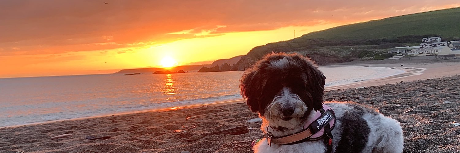 siangregsonx's profile banner image