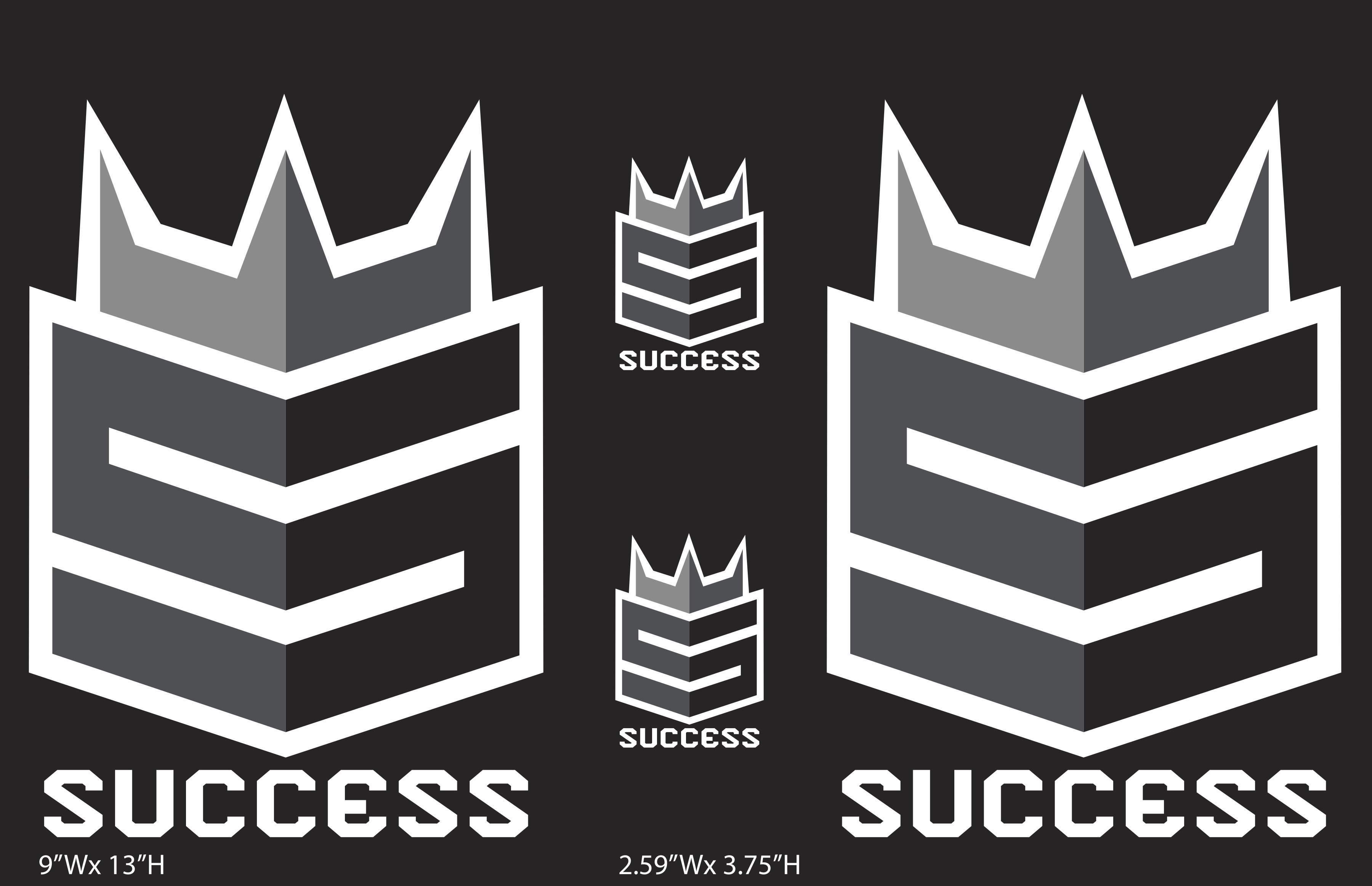 Shine Steeler banner