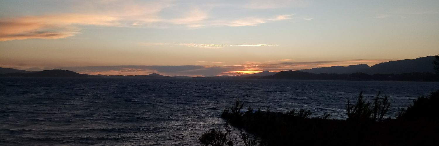 magaloche2's profile banner image