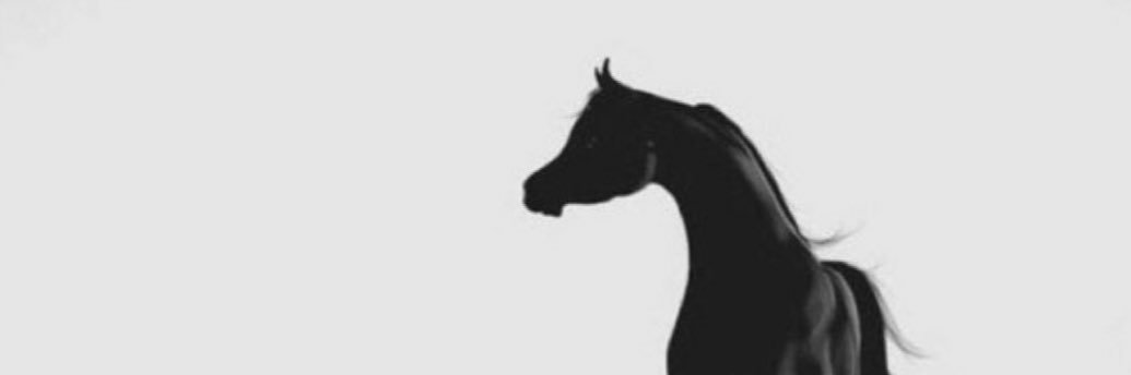 n8ll9's profile banner image