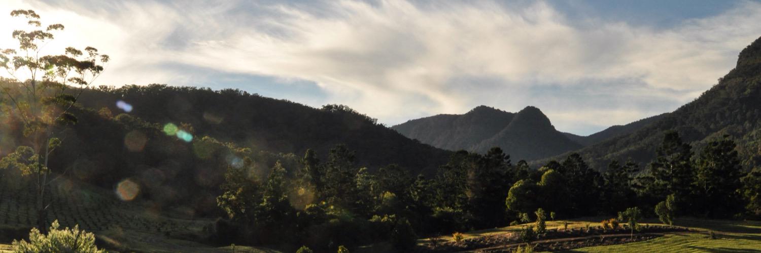 Elizabeth Beadle banner