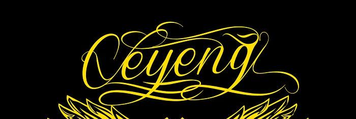 Hend-Ndro banner