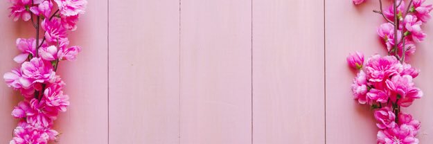 Xandrayah's profile banner image