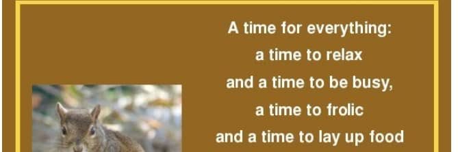 Avril_is_a_god🍀🇺🇸🇳🇬 banner